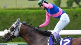 宝塚記念は実績馬が優勢か 逃げ馬にも要注意