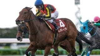 【宝塚記念予想】スピード持続型上がり最速馬を探すレース？ 過去データから探るGI宝塚記念