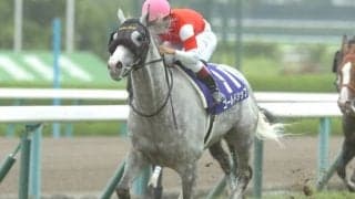 ステイゴールド産駒が最多5勝 宝塚記念の種牡馬別勝利数ランキング