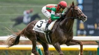 【東京5R新馬戦結果】エフフォーリア産駒ベルウッドディープが完勝