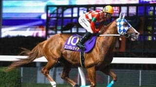 【川崎スパーキングスプリント枠順】南関東最短距離重賞 ダ900mの電撃戦に9頭