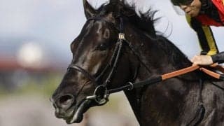 【宝塚記念】史上初の春古馬三冠ならず…クロワデュノールは惜しくも2着