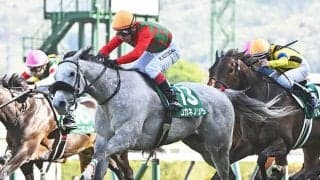 【府中牝馬S】コガネノソラ、ニシノティアモなどが登録