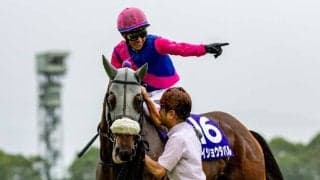 【宝塚記念】武豊「胸を張ってフランスに行ける」メイショウタバルが連覇達成