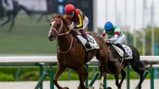 【阪神4R】チェルヴィニアの半弟・チェルヴァーラが初勝利、人気に応える快勝