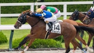 【阪神1R】11番人気アルビオンが波乱を演出…デムーロ騎手導く鮮烈差し切りV