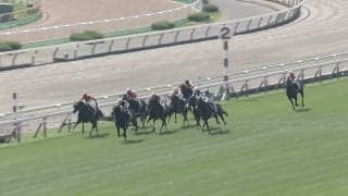 「こんなに強いんか」約10カ月ぶり復帰の素質馬、いきなり“余裕勝ち”圧巻レースにファン騒然「モノが違う」
