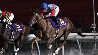【関東オークス】JRAタマモフリージアは5枠8番