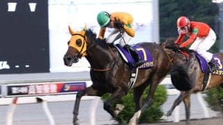 【高知優駿】単勝1.1倍カツテナイオイシサが堂々2冠、次なる目標は三冠制覇