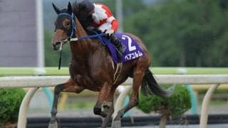 【水沢・ウイナーカップ】ベアコルムが鮮やか逃走劇！1番人気アウトザロー撃破で重賞V