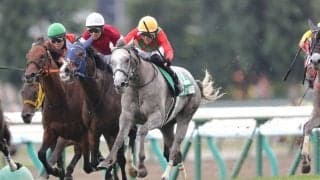 【府中牝馬S登録馬】コガネノソラなど19頭