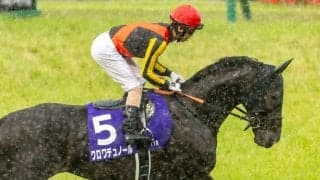 【宝塚記念】北村友「タバルが本当にしぶとかった」…クロワデュノール春古馬三冠ならず、レース後ジョッキーコメント
