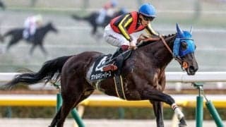 【府中牝馬S見どころ】牝馬限定戦なら力上位のヴァルキリーバース