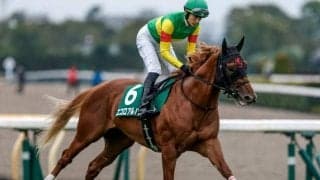 【しらさぎS見どころ】古馬との混合でも力は互角以上のエコロアルバ