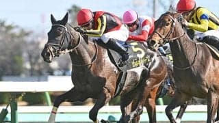 【府中牝馬S想定騎手】ヴァルキリーバースはC.ルメール騎手、コガネノソラは菊沢一樹騎手