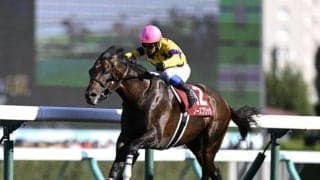 【先週のJRA抹消馬】重賞3勝のノースブリッジ、芝中長距離で活躍したショウナンバシットなど