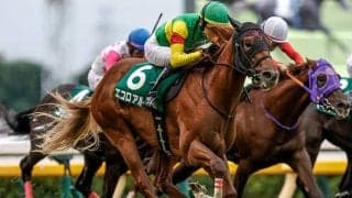 【しらさぎS想定騎手】エコロアルバは横山和生騎手、ファンダムは北村宏司騎手