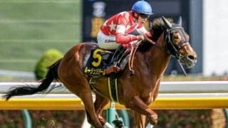 【AI予想・府中牝馬S】人工知能は波乱の結果を示唆!? 実績から配当妙味たっぷりな本命候補