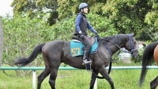 コナパームスが日曜東京で初陣 半姉は桜花賞2着馬コナコースト/関東馬メイクデビュー情報