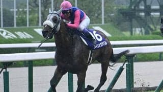 宝塚記念Vのメイショウタバル 凱旋門賞挑戦も血統面から後押し
