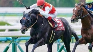 【しらさぎS】セレクト5.1億円のショウナンアデイブ 史上最高額のJRA重賞勝ち馬となるか