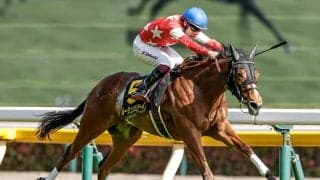 【府中牝馬S展望】前走強豪相手に3着のルージュソリテールが重賞初制覇へ