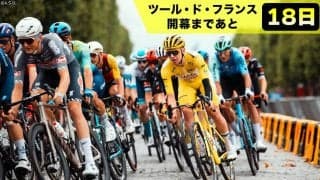 【ツール・ド・フランス開幕まであと18日】なぜ勝者は「黄色」を着るの？ツールの象徴マイヨ・ジョーヌの基礎知識