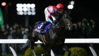 帝王賞選定馬が発表 カゼノランナーやディクテオンなど16頭