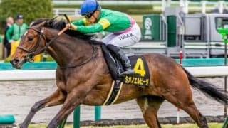【しらさぎS】「タガノ軍団の良血」タガノエルピーダ きょうだい3頭目の重賞勝ちなるか