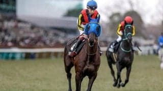 【府中牝馬S予想オッズ】ヴァルキリーバースが予想1番人気