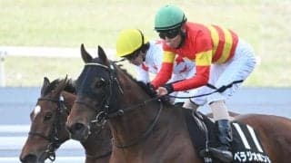 【しらさぎS予想オッズ】ベラジオボンドが予想1番人気