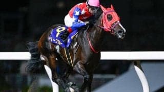 【川崎・川崎スパーキングスプリント結果】ハーフブルーが逃げ切って重賞2勝目を挙げる