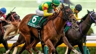 【しらさぎS展望】3歳馬エコロアルバの巻き返しに期待