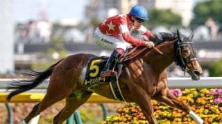 【府中牝馬S予想】中穴人気が好走する一戦 AIが注目した一頭は