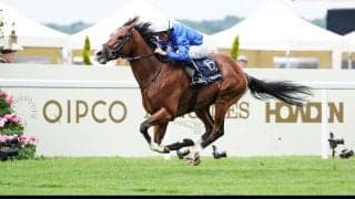【プリンスオブウェールズS】オンブズマンが4馬身差の圧勝！ダリズ、ミニーホークを完封