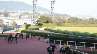 【しらさぎS出走馬・騎手確定】エコロアルバ＆横山和生騎手、ファンダム＆北村宏司騎手など18頭