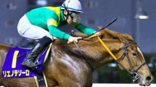 キタサンブラック×全日本2歳優駿覇者の良血 ラピッドテソーロがデビュー勝ちなるか