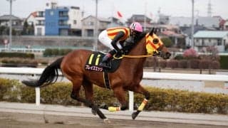 【グランダム・ジャパン】ブレイズエッジが3歳シーズン総合優勝…関東オークス3着でシリーズ女王に