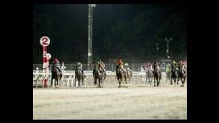 【門別・赤レンガ記念結果】ベルピットが単勝1.0倍の支持に応え3連覇達成
