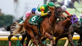 【しらさぎS枠順確定】エコロアルバは6枠11番、ファンダムは5枠9番