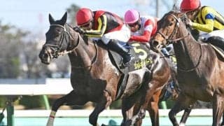 【府中牝馬S枠順確定】ヴァルキリーバースは3枠6番、ルージュソリテールは8枠15番