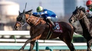 【函館記念想定馬・騎手】ファウストラーゼン、デビットバローズなど15頭