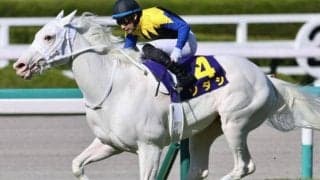 半姉はソダシ＆ママコチャ 白毛のスノーウィスパーがデビュー勝ちなるか
