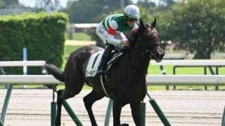 【ラジオNIKKEI賞想定馬・騎手】ローベルクランツ、サウンドムーブなど20頭