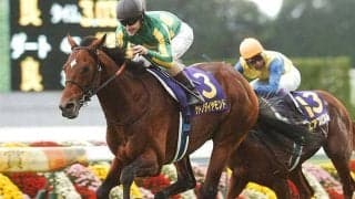 母と祖母は豪G1馬 3歳のブリリアンブルームが待望デビュー戦だ