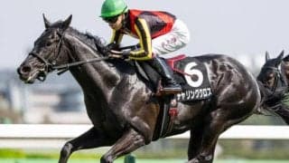 全兄はGI・4勝のクロワデュノール チャリングクロスが町田特別で連勝狙う