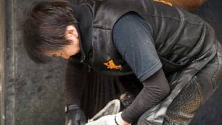 【装蹄師・西内荘コラム】メイショウタバルが示した“最強馬”の資質