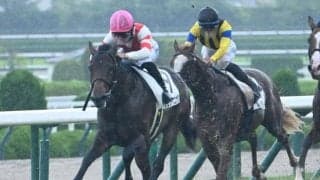 【阪神5R新馬戦結果】サートゥルナーリア産駒リュウトウコヤクが押し切り勝ち