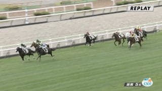 「走る姿めっちゃ綺麗」芝のレースで“ひと際目立つ”白毛馬がデビュー…出遅れ＆6着もネット人気は絶大「白すぎ可愛い」