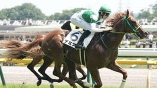 【新馬/東京6R】フライトライン産駒JRA初勝利！デミアンが鮮烈デビューV